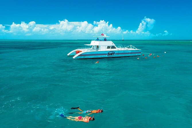 Key West Double-Dip Snorkel Tour-Two Stops, Twice the Fun! - The Speedy Catamaran: Reef Express