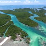 Key West: Eco Safari Sandbar Tour with Snorkeling - Starting Point at Cow Key Marina on Stock Island