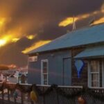 Key West: Hemingway's Life and Local Food Walking Tour - Meet at Hemingway House: The Starting Point for a Literary Journey