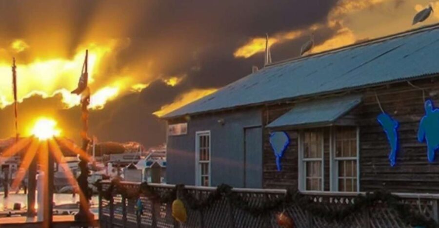 Key West: Hemingway's Life and Local Food Walking Tour - Meet at Hemingway House: The Starting Point for a Literary Journey