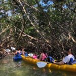 Key West Mangrove Kayak Eco Tour - Pricing and Booking in Advance