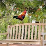 Key West Odyssey: Uncover Island Secrets, Walk by Locals - Walking Down Duval Street, The Heart of Key West