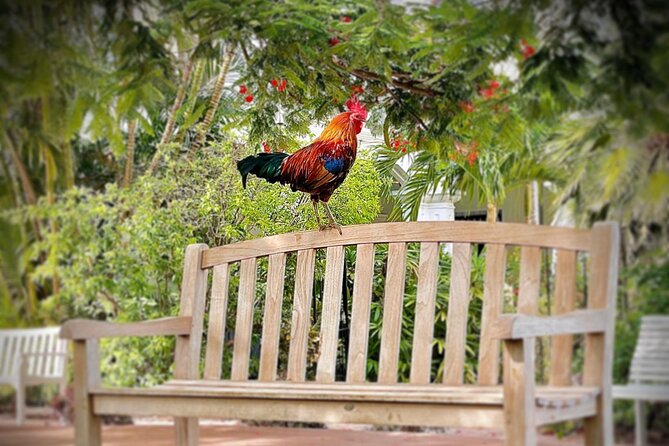 Key West Odyssey: Uncover Island Secrets, Walk by Locals - Walking Down Duval Street, The Heart of Key West