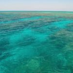 Key West Reef Snorkel & Sail Adventure - Practical Tips for a Smooth Trip