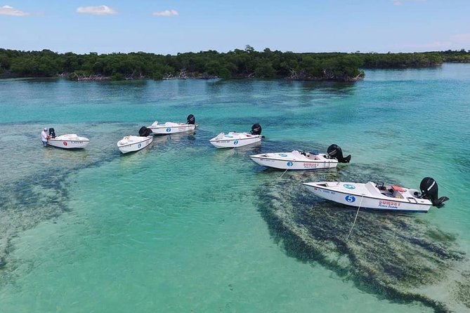 Key West Safari Eco Sandbar Tour Adventure with Snorkeling - Navigating Floridas Backcountry Waters in Mini Speedboats