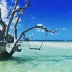 Key West Sandbar Charter - Starting Point and Scheduling