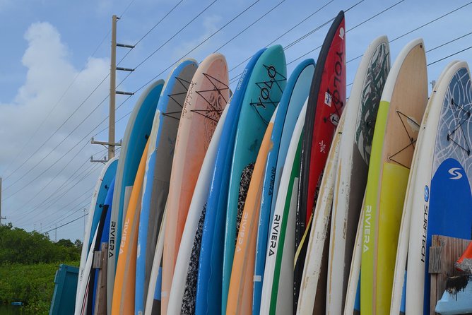 Key West Stand Up Paddleboard Rental - Starting Point at Stock Island and Meeting Details