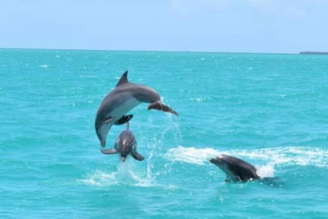 Key West's Favorite Afternoon Dolphin Sail - Onboard Experience and Crew