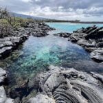 Kholo coast hike and aqua blue swim with Native Hawaiian - The Significance of Kholo Bay and Its Endemic Wildlife