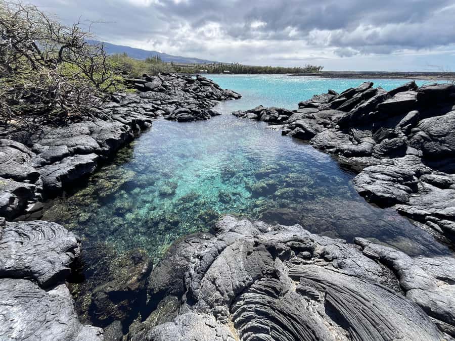 Kholo coast hike and aqua blue swim with Native Hawaiian - The Significance of Kholo Bay and Its Endemic Wildlife