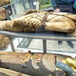 Kids & Families Tour of London British Museum with Exclusive Guide - Discovering Ancient Egypt with Themed Activities and Games
