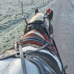 Killarney Jaunting Car Tour - Ideal for Those Who Appreciate Authentic Local Experiences