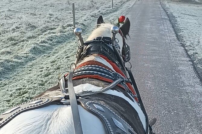 Killarney Jaunting Car Tour - Ideal for Those Who Appreciate Authentic Local Experiences