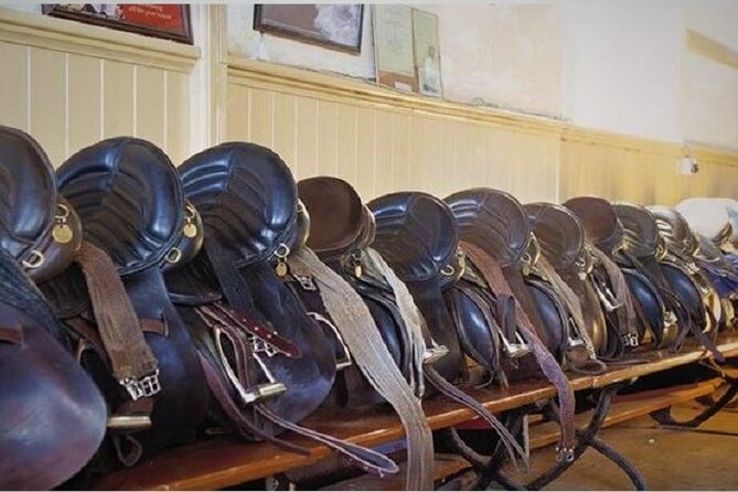 Killarney National Park Horseback Ride. Co Kerry. Guided. 3 hours. - Professional Guides and Personalized Guidance