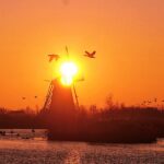 Kinderdijk Photography tour - The UNESCO World Heritage Windmills of Kinderdijk