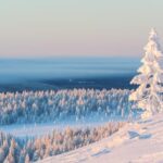 King of Ylläs: Snowmobiling to the Hill - The Route to Ylläs Fell’s Summit