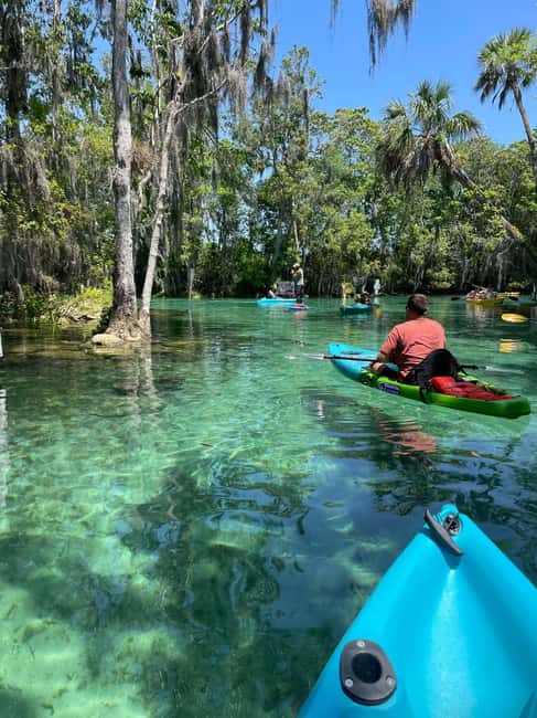 Kings Bay, Crystal River: Gentle Sunrise Manatee Kayak Tour - Up-close Wildlife Viewing in a Safe, Idle-Speed Zone