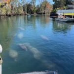 Kings Bay Eco Tours - The Itinerary and What to Expect