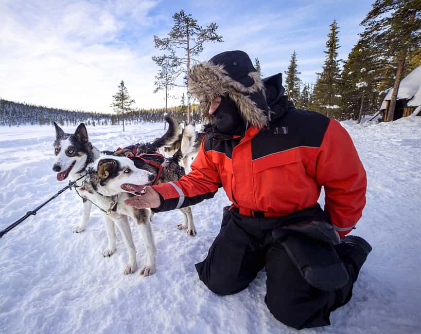 Kiruna: Morning Dogsled Ride with Swedish Fika - What Is Included in the Morning Dogsled Ride