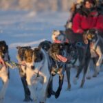 Kiruna: Morning Husky Sled Ride with Coffee Break - Starting Point and Logistics in Kiruna