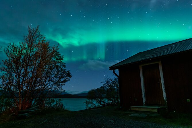 Kiruna Northern Lights Tour with Photographer - Flexible Locations: Abisko and the Boreal Forest