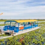 Kissimmee: 1 Hour Florida Everglades Pontoon Boat Tour - What Makes the 1-Hour Pontoon Adventure Unique