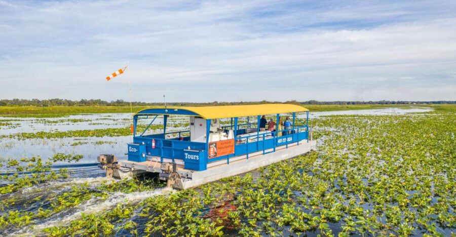 Kissimmee: 1 Hour Florida Everglades Pontoon Boat Tour - What Makes the 1-Hour Pontoon Adventure Unique