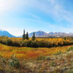 Kluane National Park: Full Day Tour - How the Tour Explores the Majestic Kluane National Park