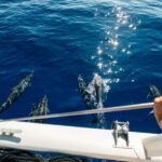 Ko Olina Exclusive Snorkel + Lunch - Marine Encounters: Turtles, Dolphins, and Seasonal Whales