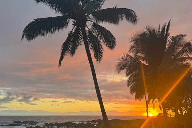 KOA to Waikoloa Resorts Luxury Private Round Trip Transfer - Convenient Pickup and Drop-Off Across the Big Island