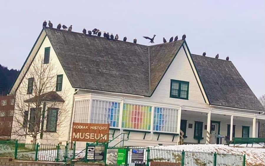 Kodiak: History, Culture, and Commercial Fishing Tour - Visiting the Bustling Kodiak Docks and Fishermen’s Daily Routines