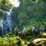 Kohala Waterfalls Small Group Adventure Tour - Multiple Waterfalls and the Chance to Swim