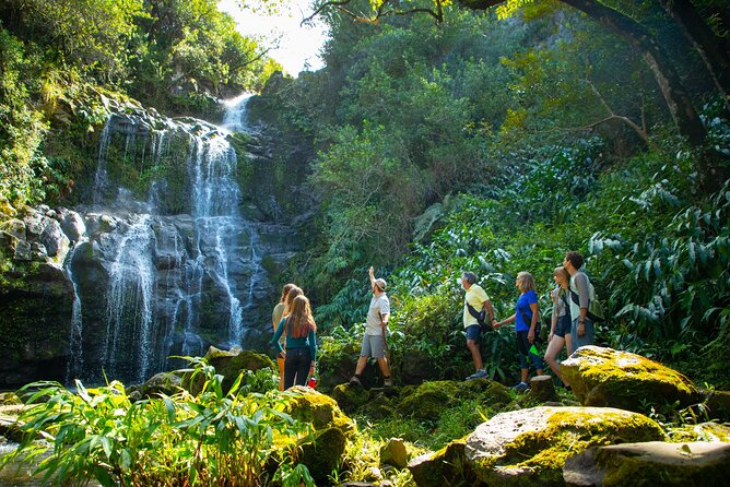 Kohala Waterfalls Small Group Adventure Tour - Multiple Waterfalls and the Chance to Swim