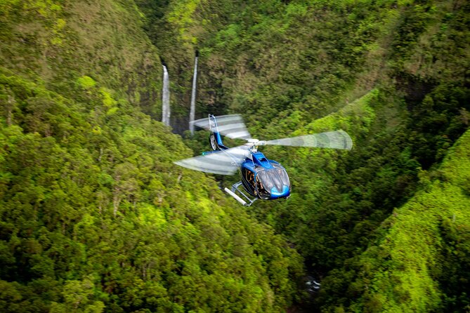 Kohala Waterfalls with Exclusive Landing Helicopter Tour - The Scenic Flight over Kohala’s Diverse Terrain