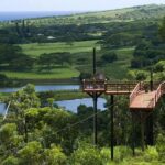 Koloa Zipline in Kauai - Meeting Point and Group Size
