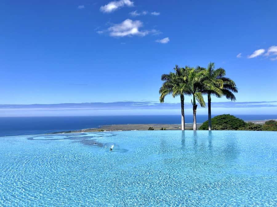 Kona: Cloud Forest, Coffee Farm, and Turtle Beach Tour - Scenic Trail to a White Sand Beach and Archaeological Site