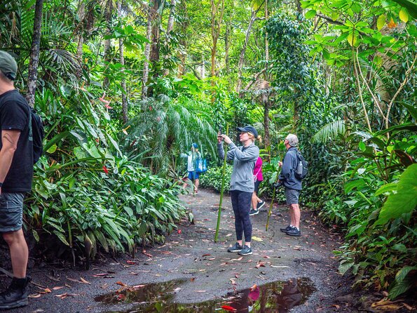 Kona Cloud Forest Sanctuary Pantropical Tour (1.5 hrs) - The 1.5-Hour Guided Walking Experience