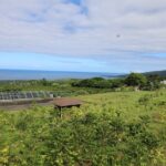 Kona Coffee Farm Tour from Tree to Tasting Room - The Coffee Growing Challenges in Kona