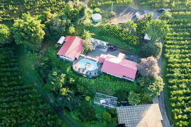 Kona Coffee Farm Tour - Walking Through the Kona Coffee Farm