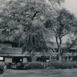 Kona Haunted Hele Ghost Tour - Exploring Kailua-Kona’s Haunted Landmarks