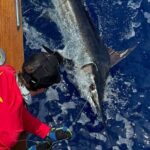 Kona Hawaii Per Person Shared Fishing with Bite Me Sportfishing - Departure Point and Meeting Logistics in Kona