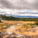 Kona: Hawaii Volcanoes National Park Tour - Scenic Drive Through South Kona and Kau Districts