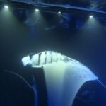 Kona Hi, Sunset Manta Ray Tour 10 passengers maximum - Evening Timing and Small Group Advantage