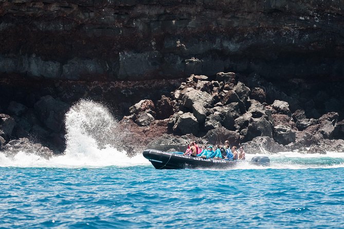 Kona Snorkeling: Beat the Crowd to Kealakekua Bay - Exploring Kealakekua Bay’s Underwater World