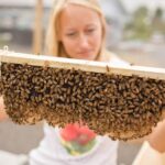 Kona Tour: Bee Farm, Kona Coffee, and National Historical Parks - Exploring Puuhonua o Honaunau National Historical Park