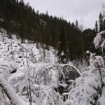 Korouoma Canyon & Ranua Zoo Tour - From Rovaniemi to Korouoma: Easy Comfort Stops