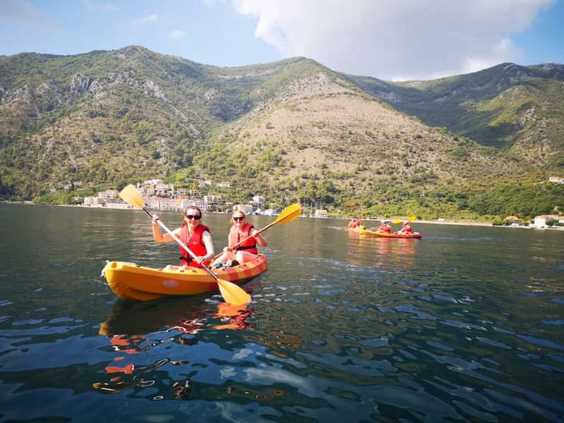 Kotor: Guided Kotor Bay Kayaking Tour - Starting Point and Meeting Logistics