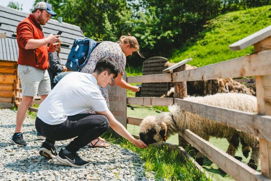 Krakow: Zakopane Day Trip with Funicular Ride - Departure and Meeting Point Next to Mercure Hotel