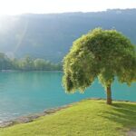 (KTL361) - Interlaken day trip by bus from Lausanne - Discovering Harder Kulm’s Panoramic Terrace