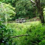 Kualoa Ranch: Jungle Expedition Tour - Stunning Views of Kaneohe Bay and Mokolii Island